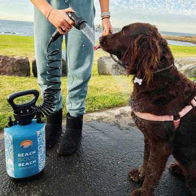 A person in teal sweatpants and black Ugg boots sprays water from a black coiled hose attached to a blue "Beach Soul Beach Shower" with a mandala pattern for a thirsty brown dog wearing a pink harness and bone tag by a green grassy oceanfront with a rocky breakwater under a cloudy sky