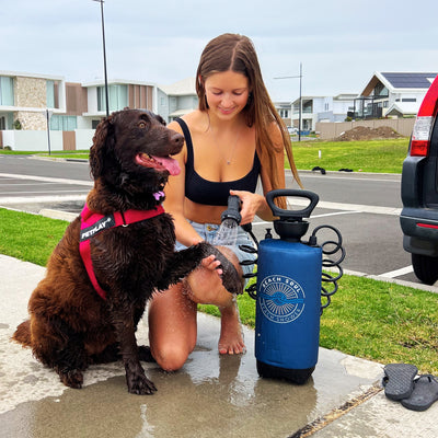 Photograph of a young woman in a black bikini top kneeling to wash a happy brown wavy-haired dog in a red PETPLAY harness with a pink flower behind its ear using a blue portable Beach Soul Pacific Shower on a wet suburban driveway in front of modern houses