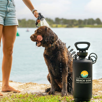 Photograph of a person in denim shorts using a portable black Beach Soul shower to wash a wet brown dog with its tongue out on a sandy shore by a calm body of water