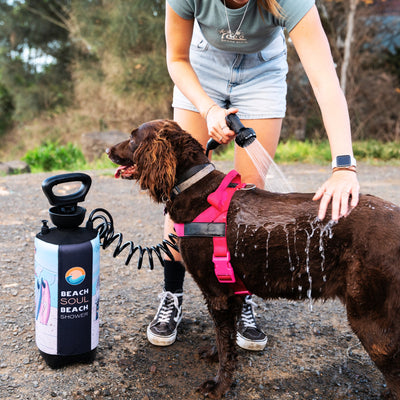 A person sprays water from a portable blue and white Beach Soul Beach Shower onto a wet brown dog wearing a bright pink harness on a textured gravel path outdoors