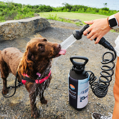 A brown dog with a pink harness and bone-shaped tag drinks streams of water from a black spray nozzle held by a person wearing an Apple Watch and rings, connected to a "Beach Soul Beach Shower" bottle featuring a camper van graphic and coiled hose, on gravelly ground with green foliage and distant water