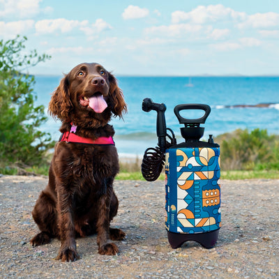 Photography of a brown dog wearing a pink harness with its tongue out, sitting beside a portable shower featuring a blue, orange, and white geometric pattern, on a gravel path by the ocean