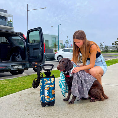 Photograph of a young girl in denim shorts drying a wet brown dog with a grey patterned towel next to a blue geometric portable pet shower and an open black SUV on a suburban sidewalk